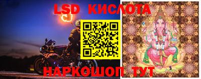 крисы Краснокаменск