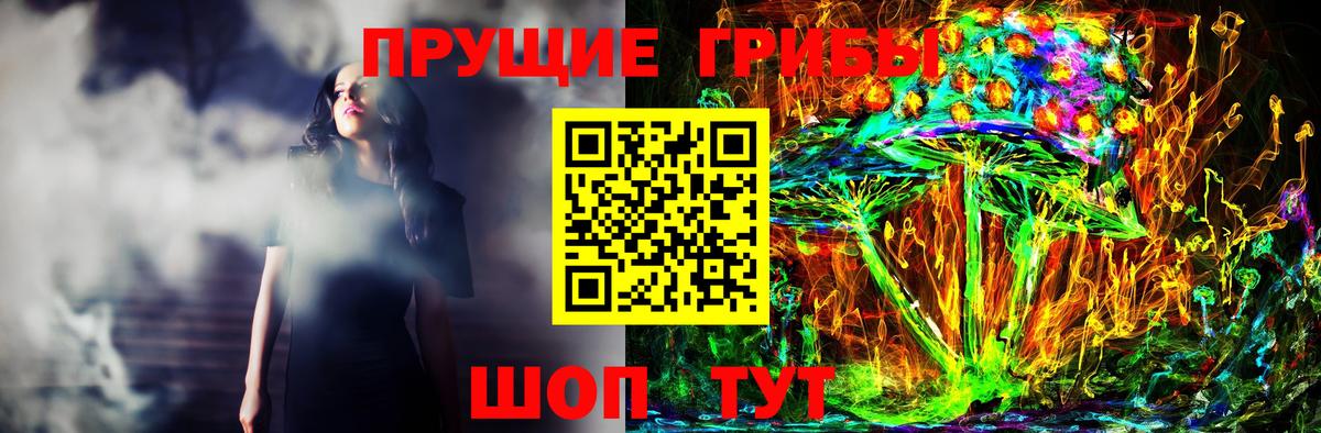 Псилоцибиновые грибы Psilocybe Чапаевск