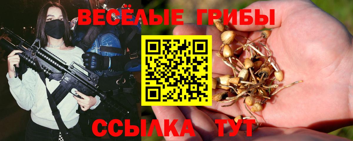 Чапаевск  Псилоцибиновые грибы Cubensis  Вход с VPN 